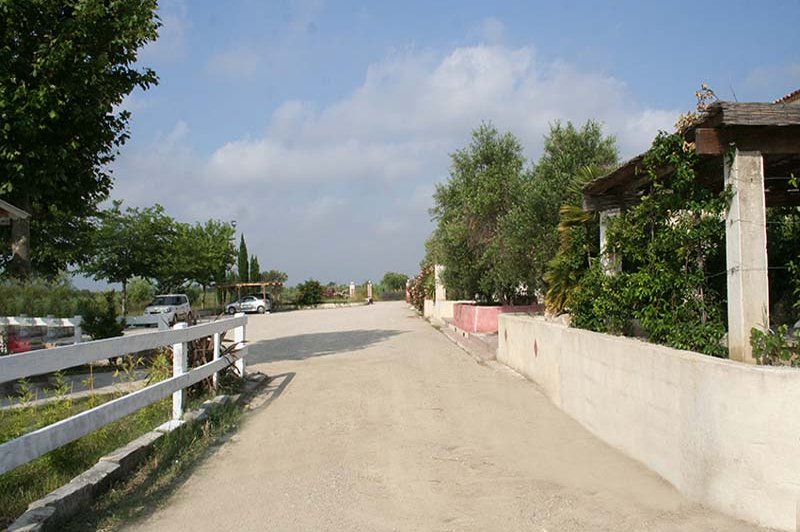 Domaine De La Tour - photo 5