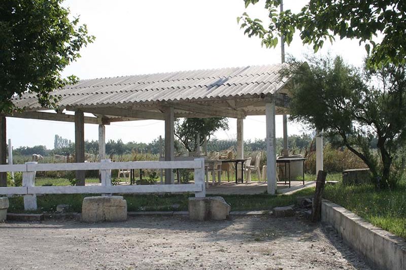 Domaine De La Tour - photo 4
