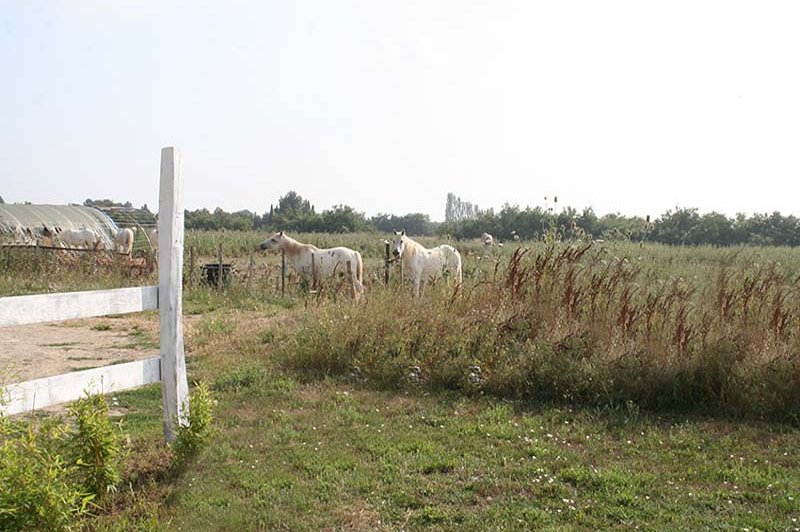 Domaine De La Tour - photo 1