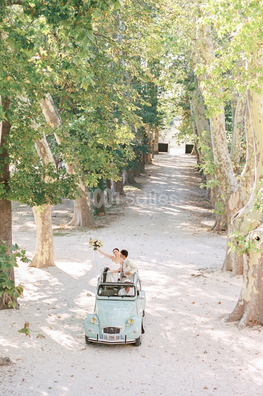 Un couple dans une voiture ancienne décapotable roule sur une allée bordée d'arbres sous un ciel dégagé.