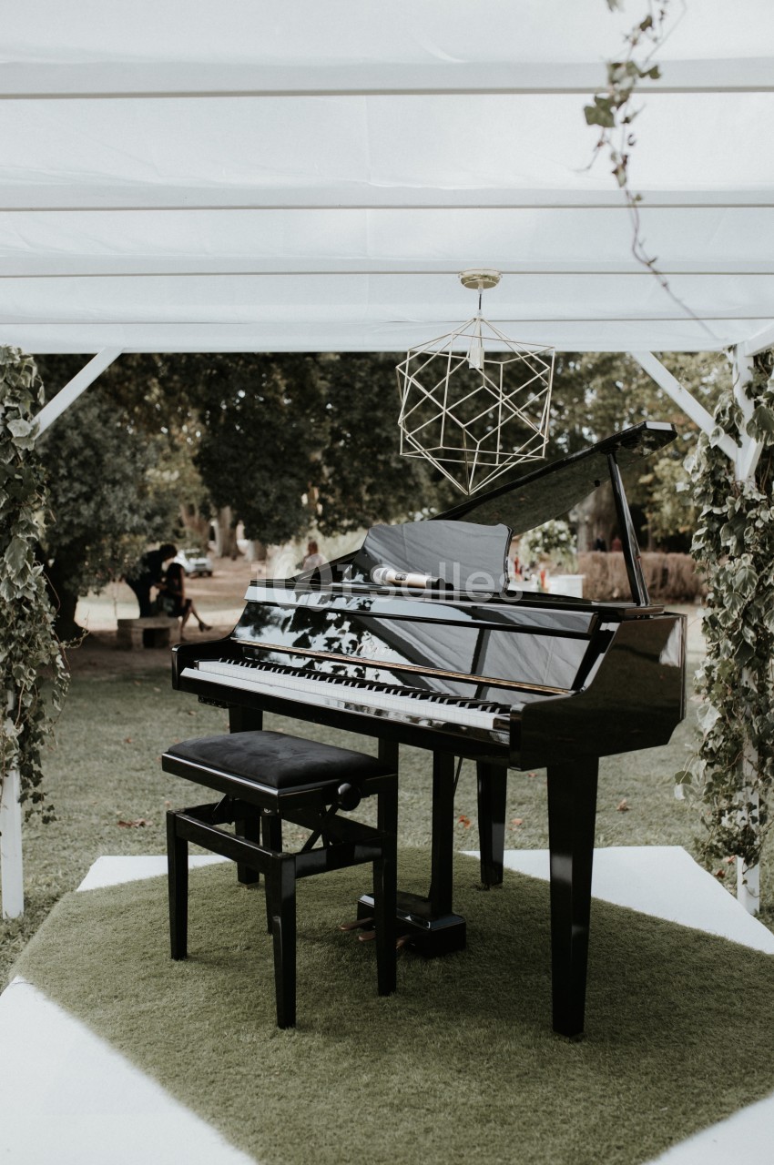 Piano à queue noir avec tabouret, installé sur une pelouse sous une pergola décorée de feuillage.