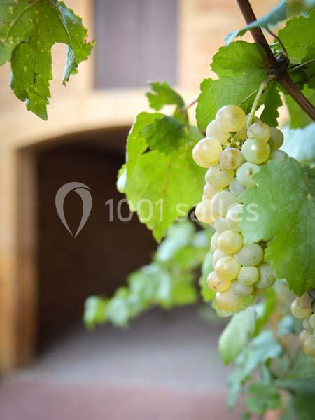 Domaine des Sources - galerie - photo 17