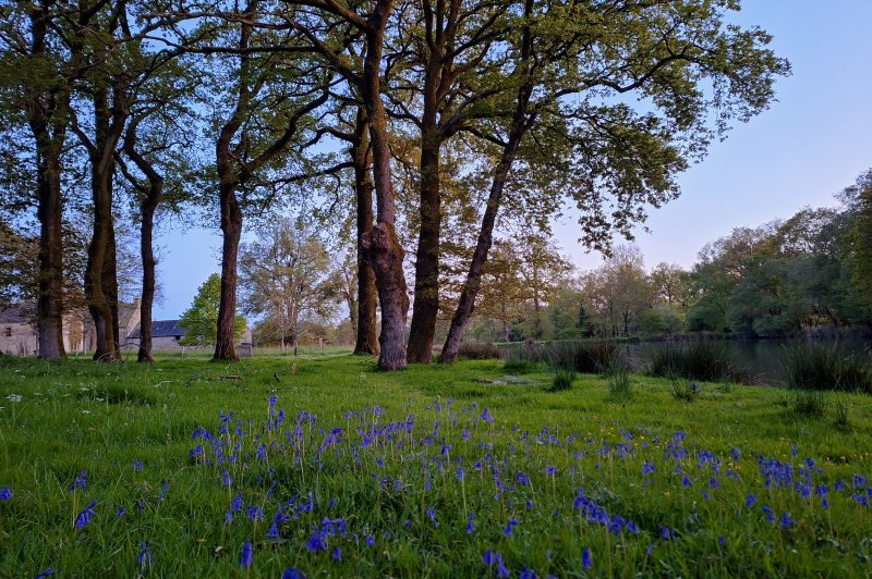 Domaine de Bobehec - photo 2