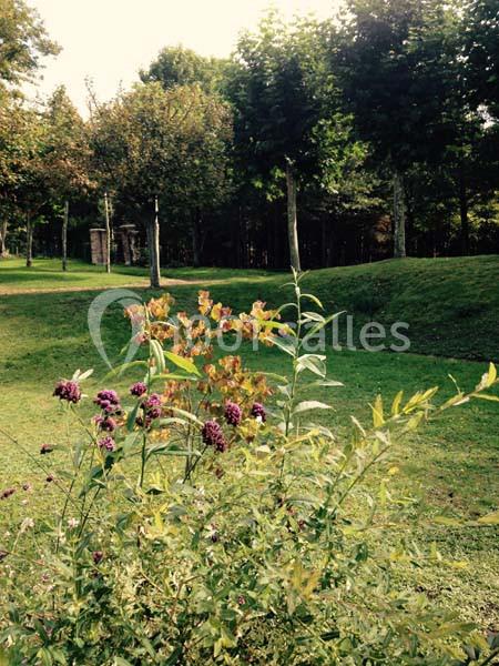 Château D'ande - galerie - photo 16