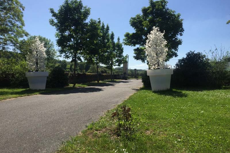 Domaine De Contre - photo 3