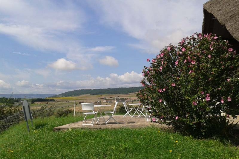 La Chaumière Des Vigneaux - photo 3