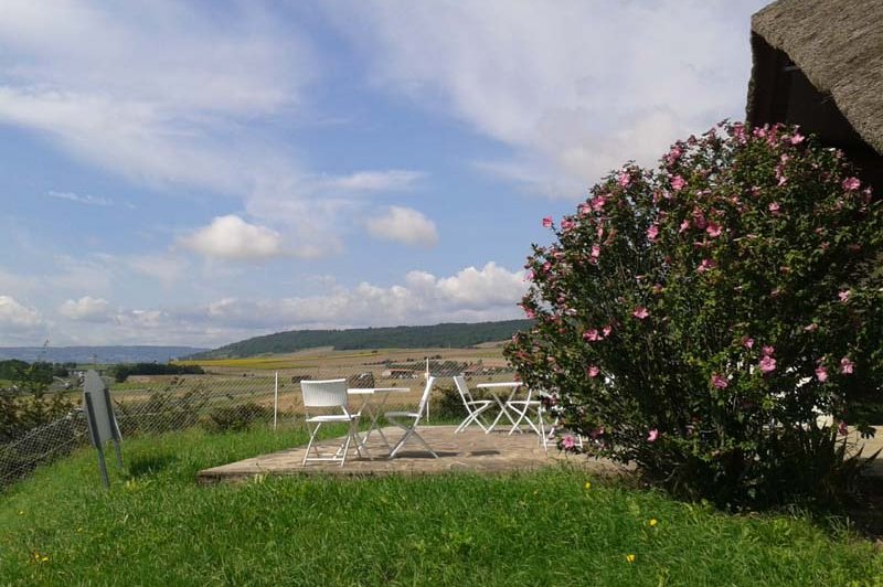 La Chaumière des Vigneaux - photo 1