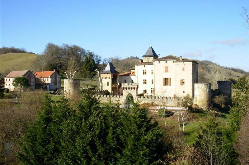 Château de la Hille - photo 5