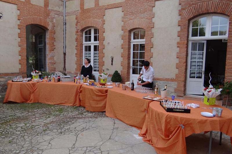 Château de la Hille - photo 1