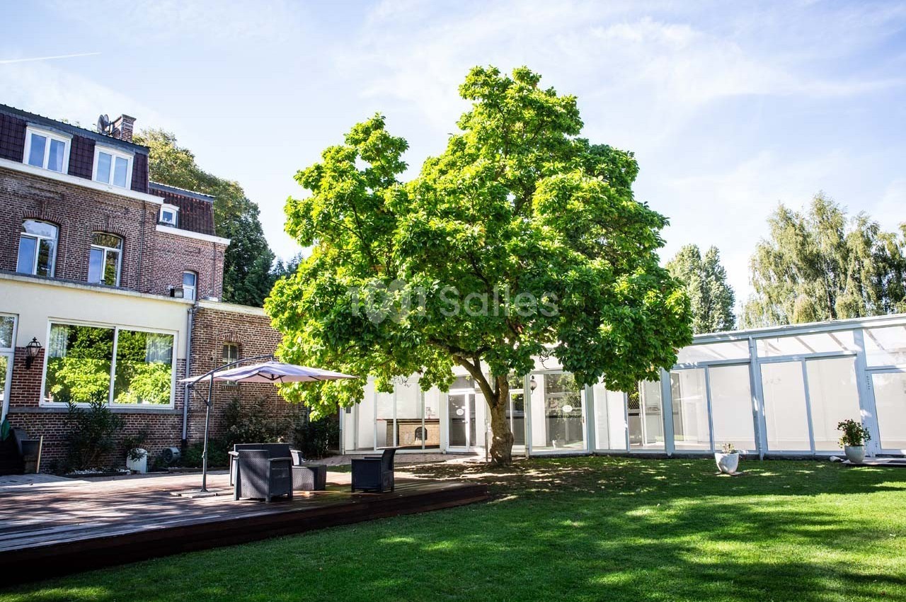 Grand arbre au feuillage dense dans un jardin avec pelouse, terrasse en bois et bâtiments en arrière-plan.