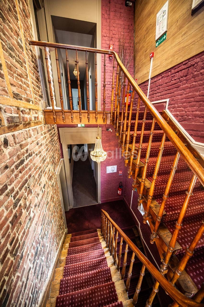 Escalier en bois avec tapis rouge, entouré de murs en briques et éclairé par une suspension centrale.