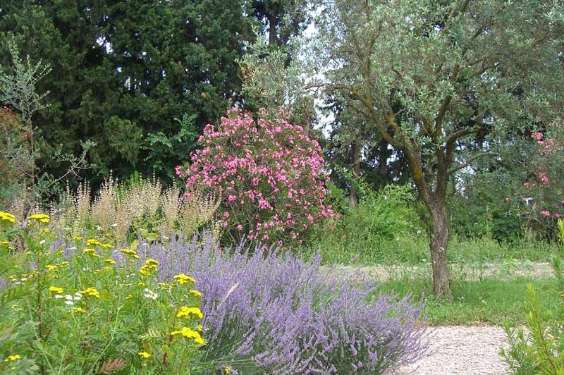 Musée Des Arômes Et Du Parfum - photo 5