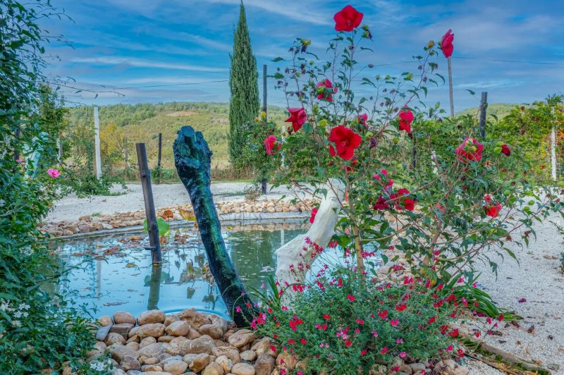 Domaine la Baronne - photo 3