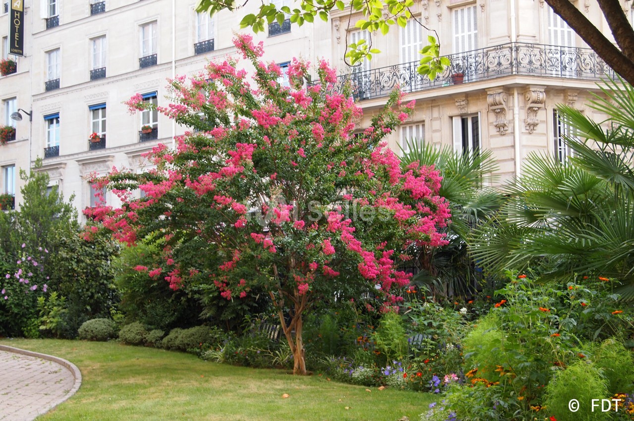 Fondation Dosne-Thiers - Institut de France - galerie - photo 20