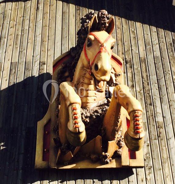 Le Manège De Tilly - galerie - photo 2