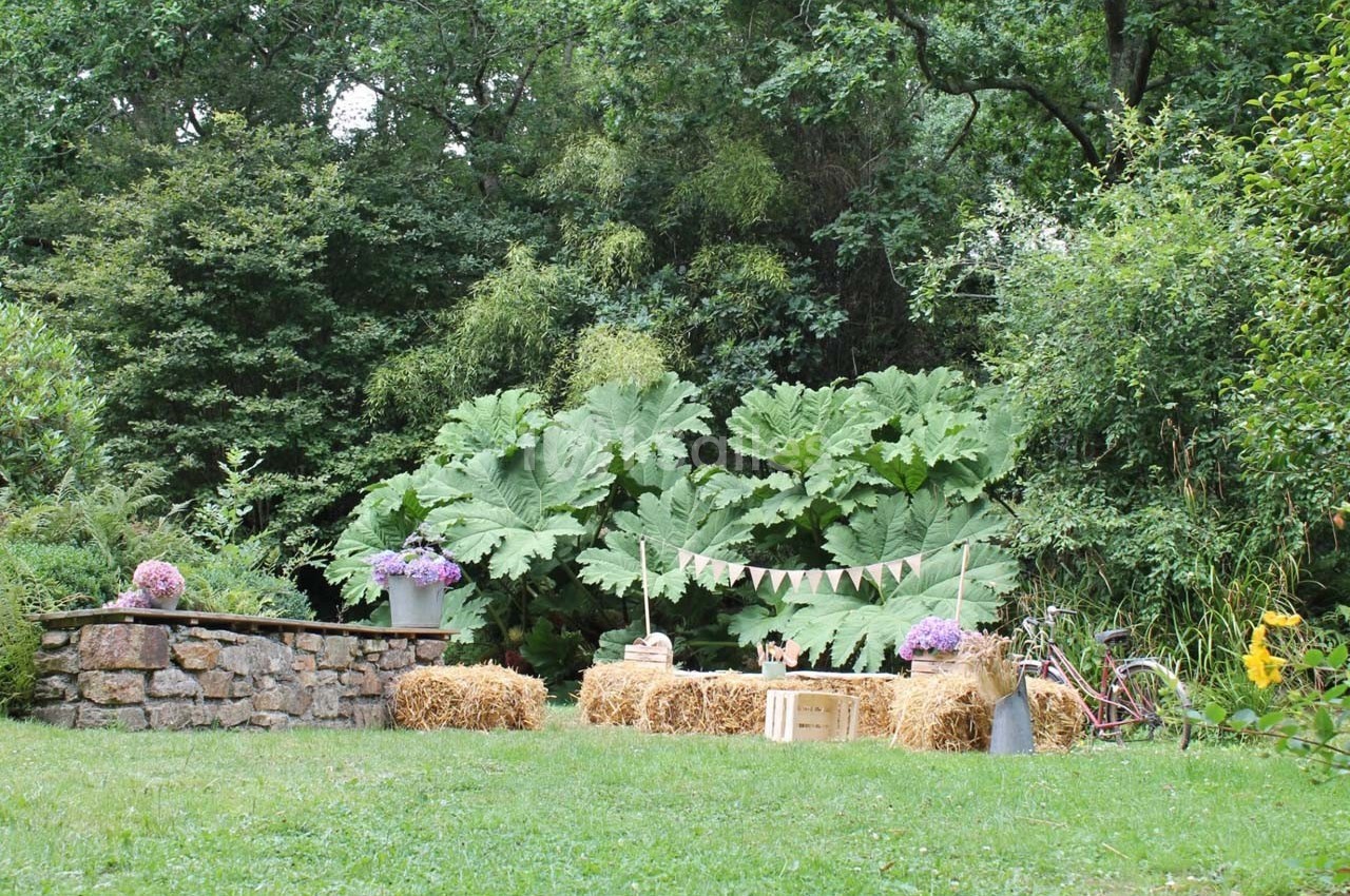 Espace extérieur avec bottes de paille, guirlande, fleurs et végétation dense en arrière-plan.