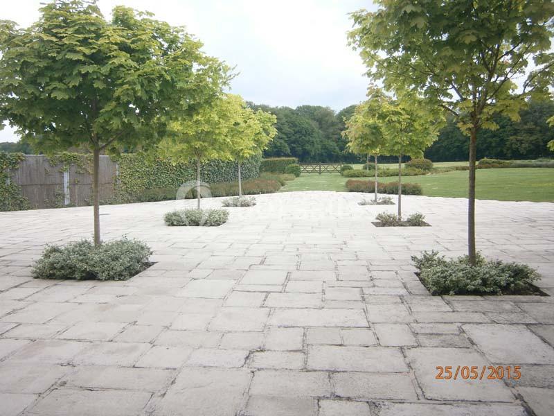 Ferme Du Dixième - galerie - photo 18