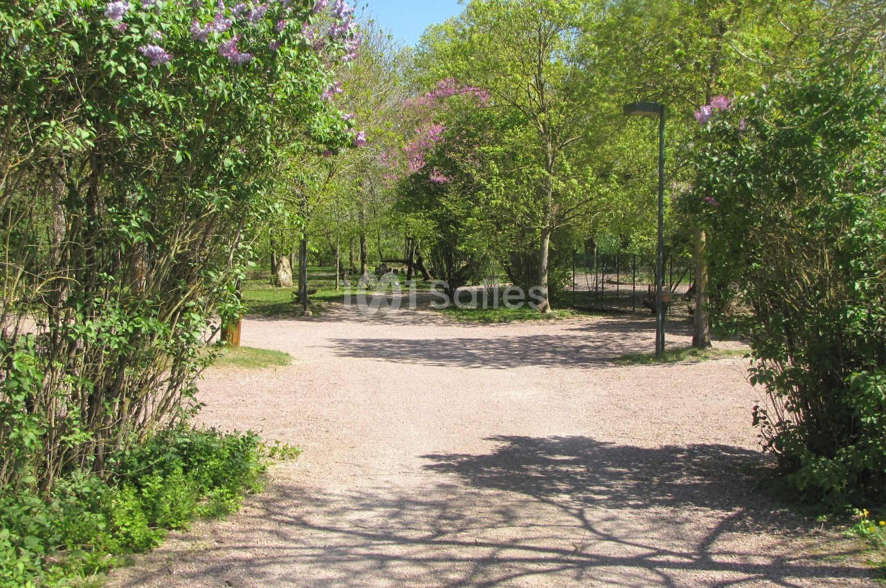 Allée ombragée bordée de buissons fleuris et d'arbres dans un parc par une journée ensoleillée.