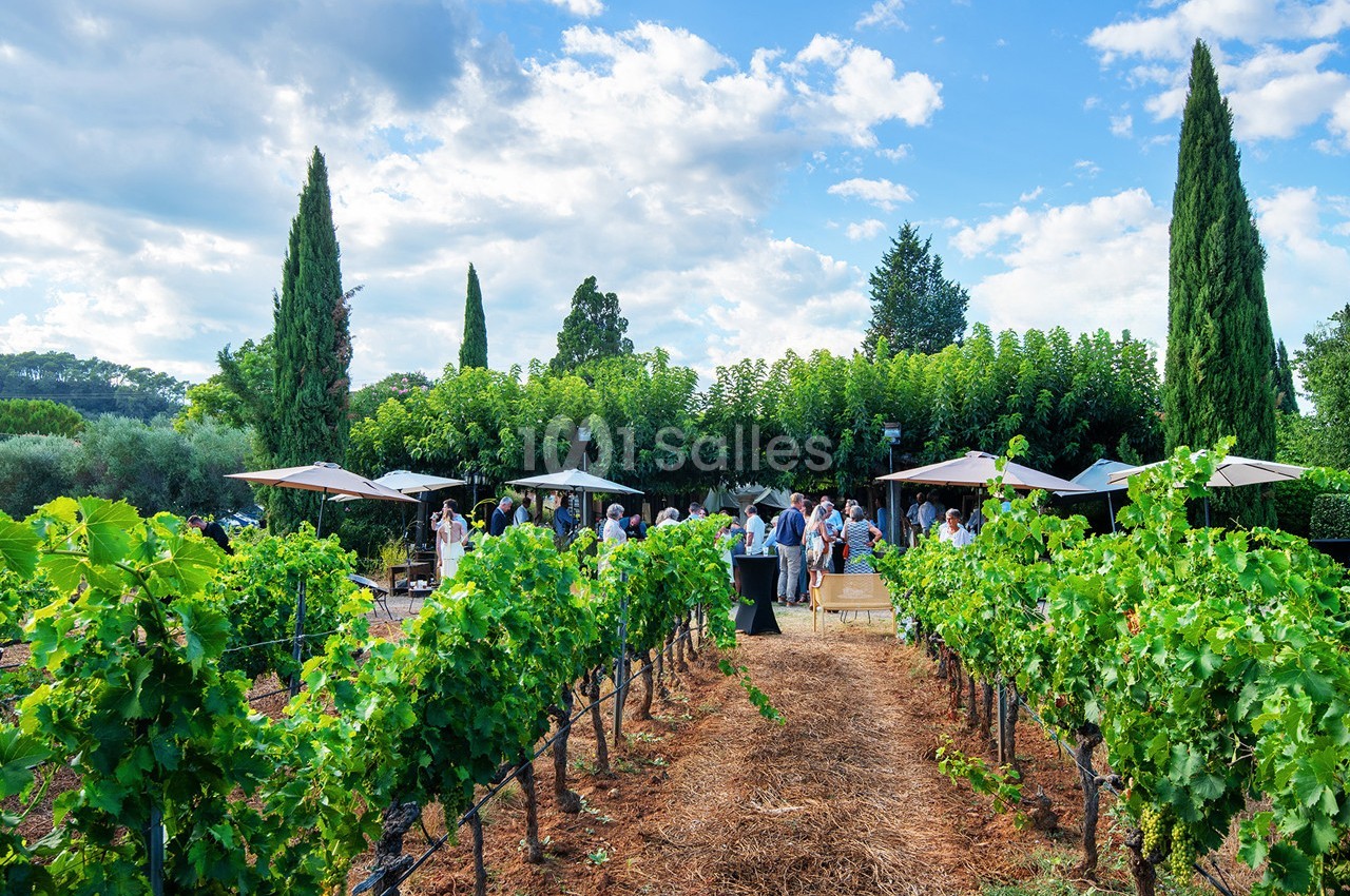 Des personnes réunies dans un vignoble en plein air, entourées de vignes, arbres et parasols sous un ciel bleu.