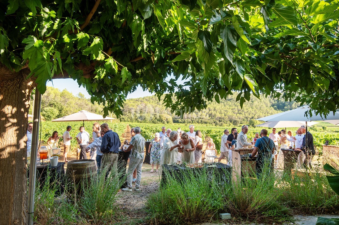 Groupe de personnes rassemblées dans un vignoble en plein air, entourées de verdure et de tables de dégustation.