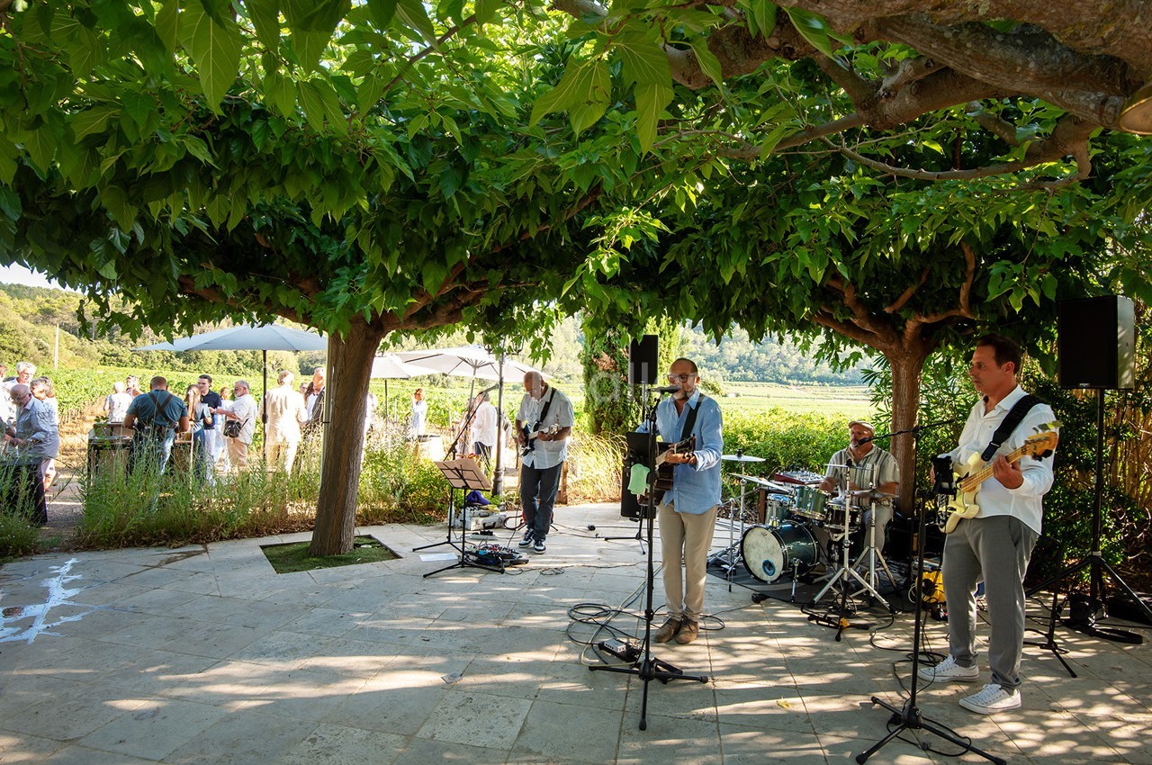 Groupe de musiciens jouant en plein air sous des arbres, avec un public en arrière-plan près d'un paysage verdoyant.