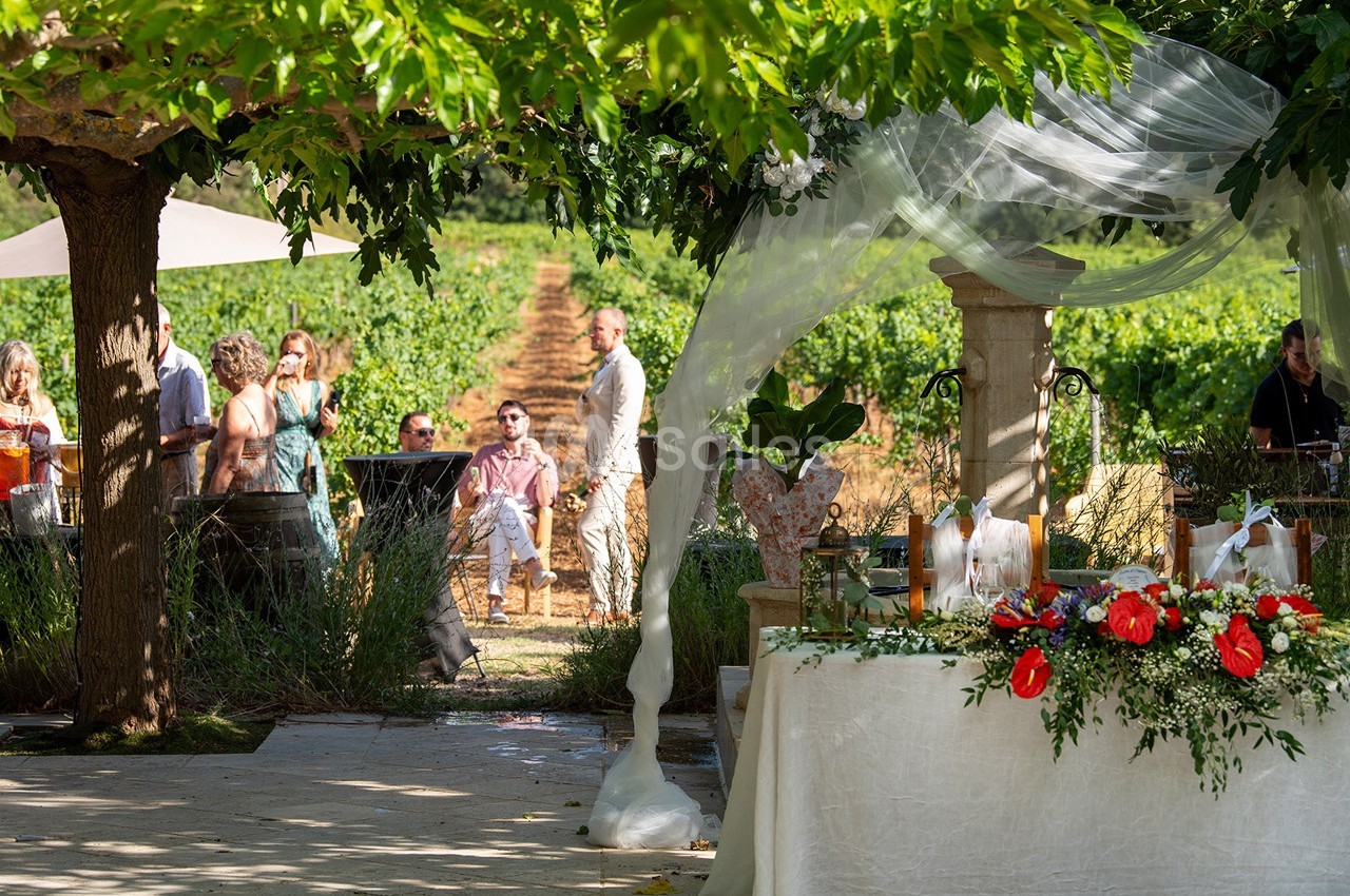 Table décorée avec des fleurs rouges et blanches sous une tonnelle, avec des invités et des vignes en arrière-plan.