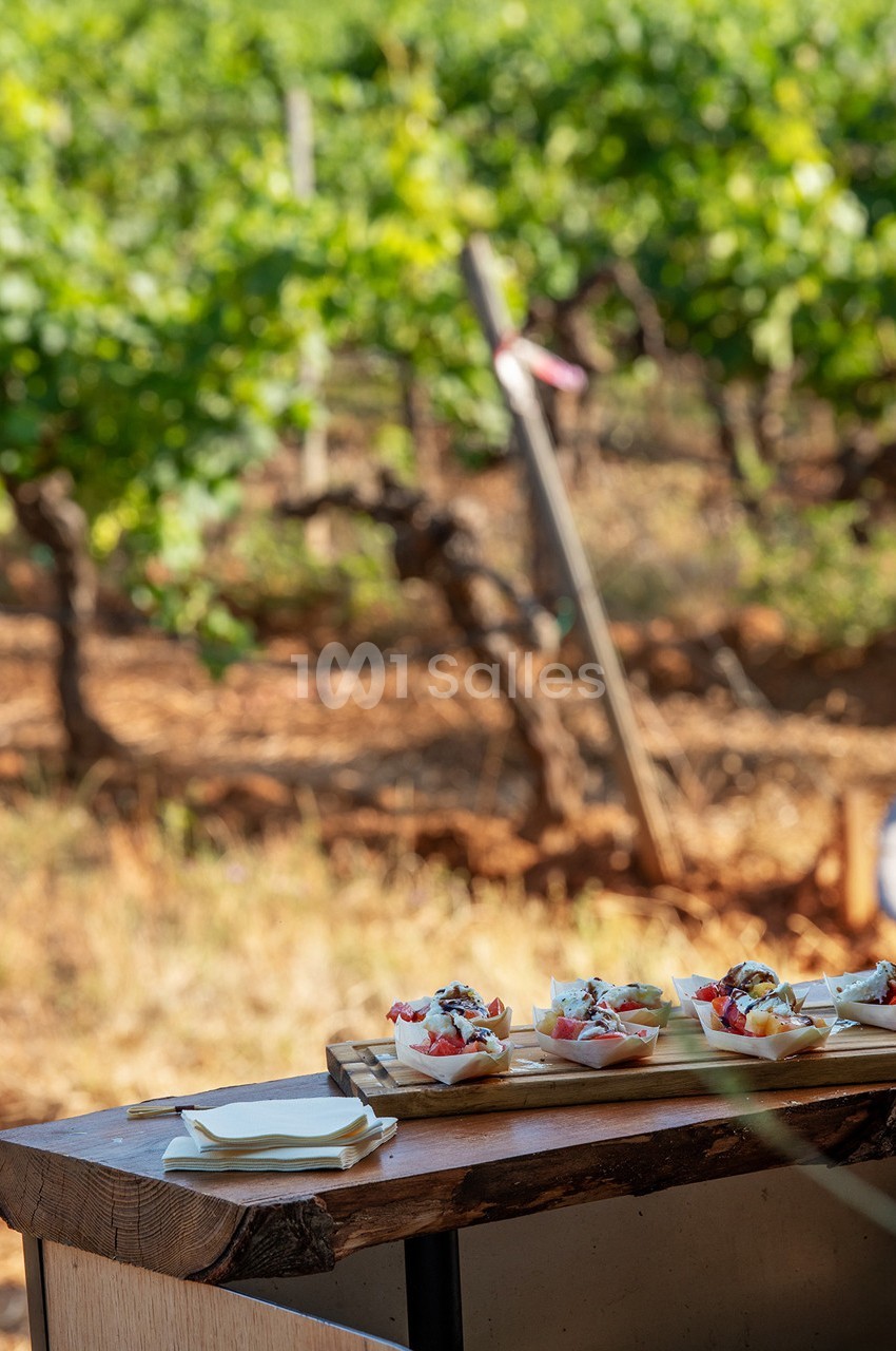 Plateau de petites assiettes garnies, posé sur une table en bois devant des vignes en arrière-plan.