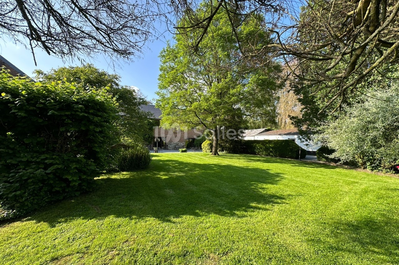 Jardin verdoyant avec pelouse bien entretenue, arbres ombragés et bâtiments en arrière-plan sous un ciel dégagé.
