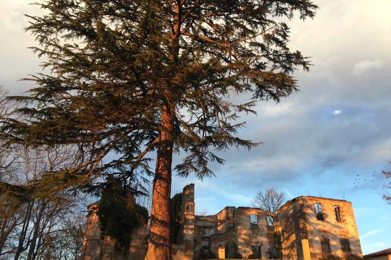 Domaine De Montoussin - photo 4