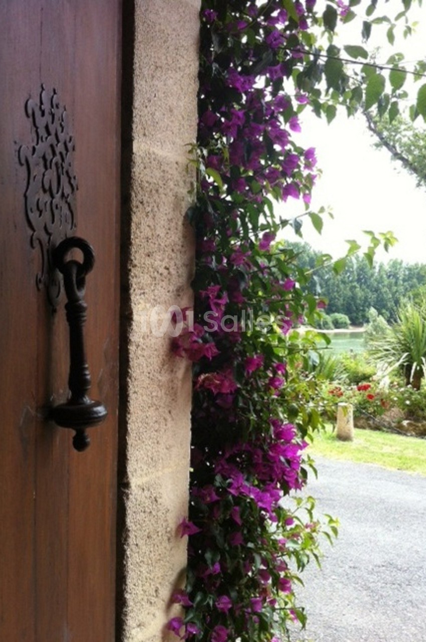Plante grimpante à fleurs violettes ornant un mur en pierre près d'une porte en bois avec vue sur un jardin.