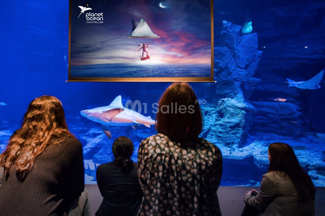 Des visiteurs observent un aquarium avec des requins, sous une affiche lumineuse représentant un enfant volant avec un cerf…