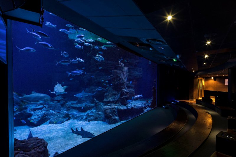 Planet Ocean Montpellier - photo 5