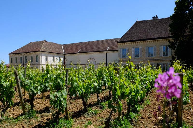 Château De Chassagne - Montrachet - photo 1