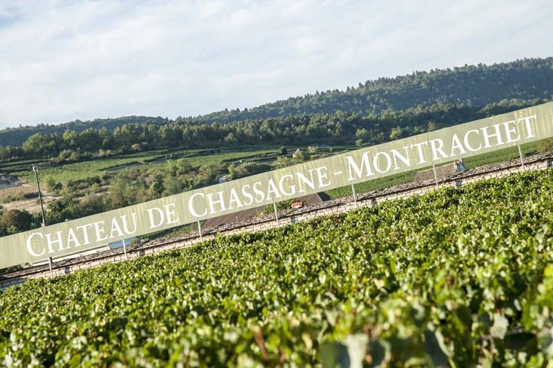 Château De Chassagne - Montrachet - photo 2