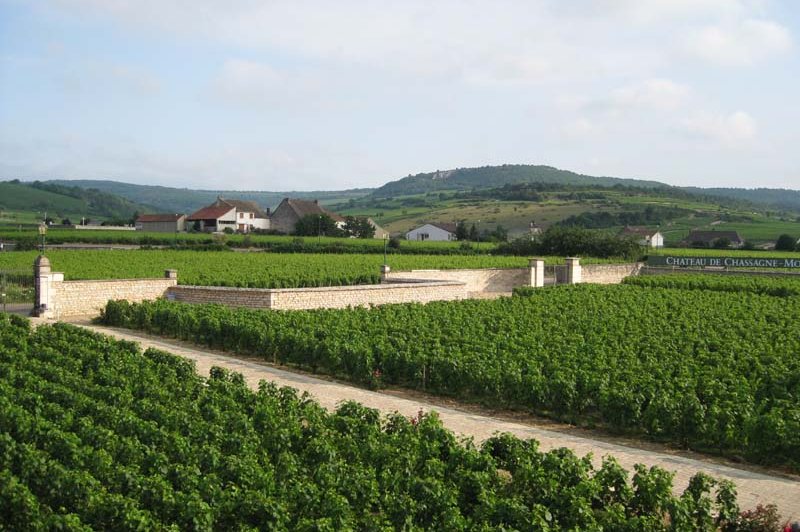 Château De Chassagne - Montrachet - photo 3