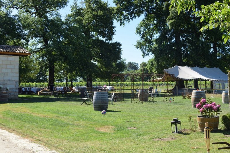Château de Piote - photo 4