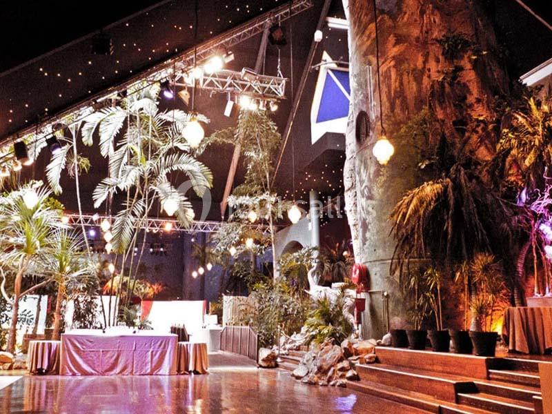 Décor intérieur avec plantes tropicales, éclairages colorés, rochers artificiels et une scène en arrière-plan.