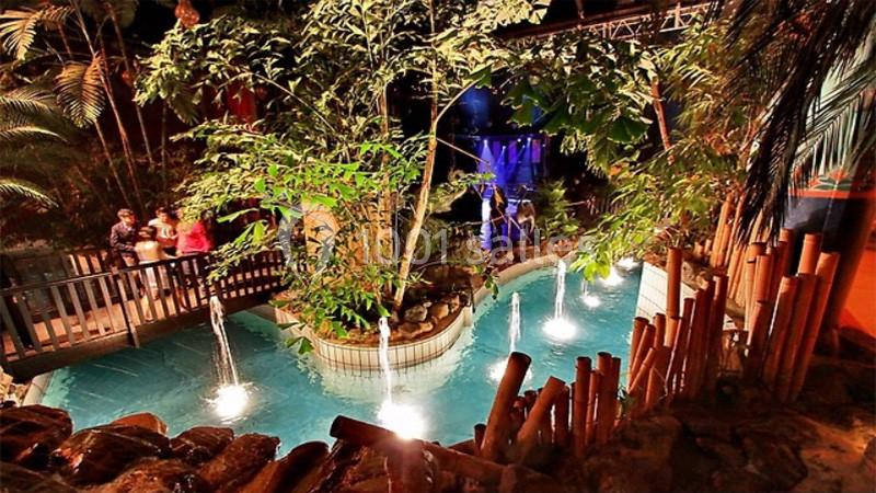 Un bassin éclairé avec des jets d'eau entouré de végétation tropicale et d'une passerelle en bois.