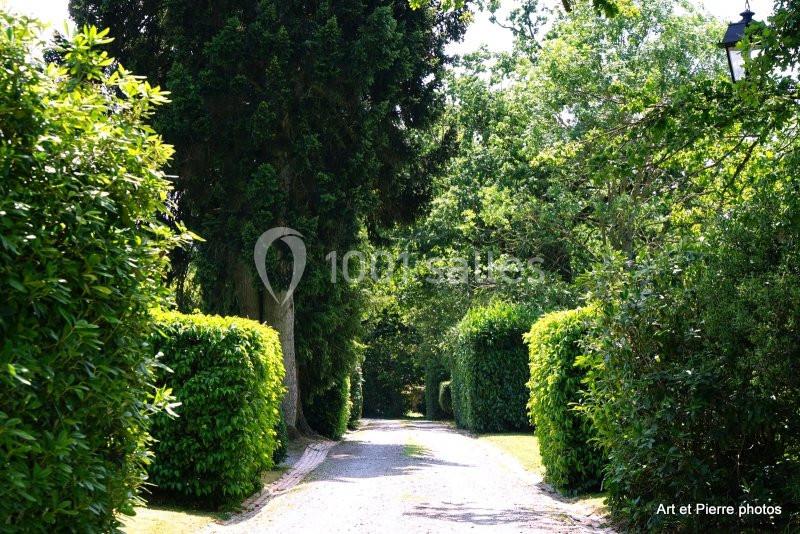 Chemin bordé de haies taillées et d'arbres, traversant un jardin verdoyant sous un ciel ensoleillé.