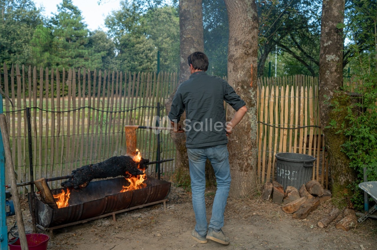 Un homme surveille un cochon rôti sur une broche au-dessus d'un feu, dans un jardin entouré de clôtures en bois.