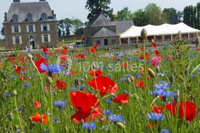 Château De La Giraudais - photo 2