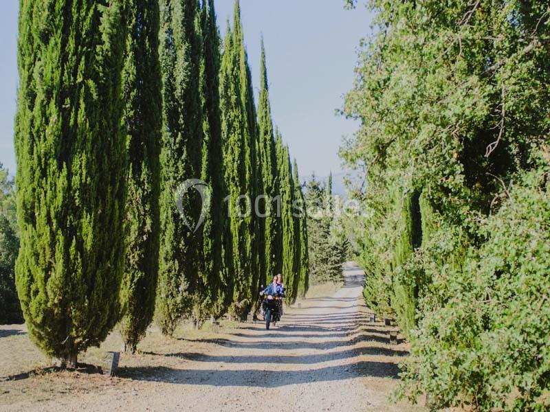 Domaine De Pijaubert - galerie - photo 21