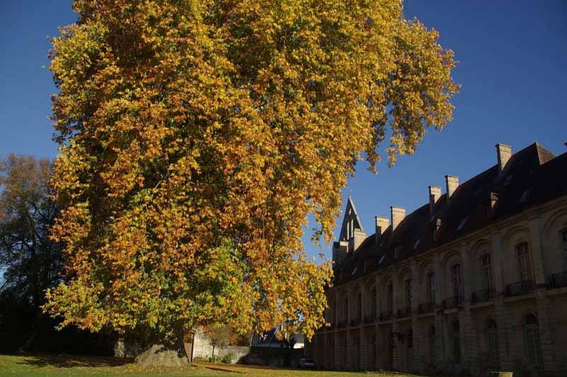 Abbaye de Longpont - photo 3