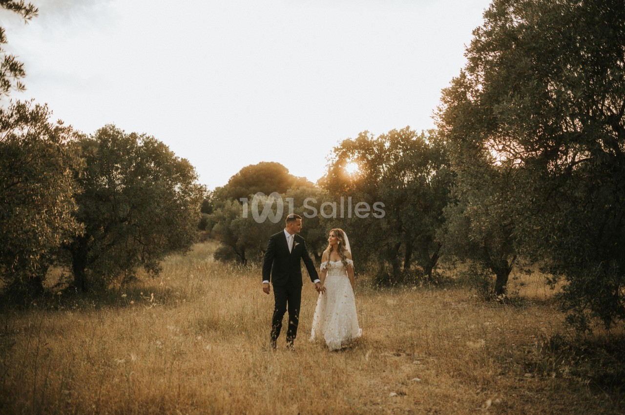 Un couple en tenue de mariage marche main dans la main dans un champ entouré d'oliviers au coucher du soleil.