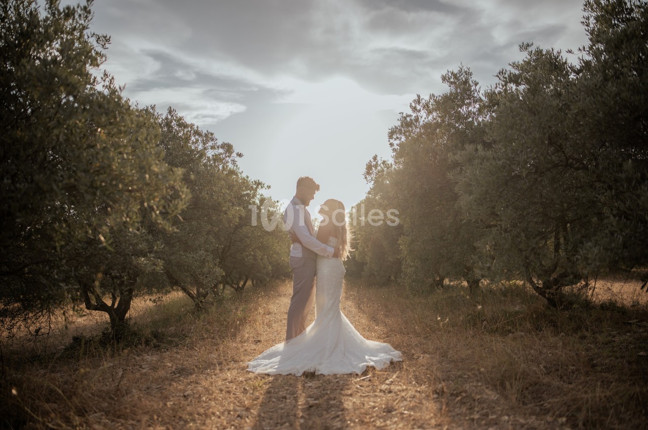 Un couple en tenue de mariage se tient dans un chemin bordé d'oliviers sous une lumière douce au coucher du soleil.