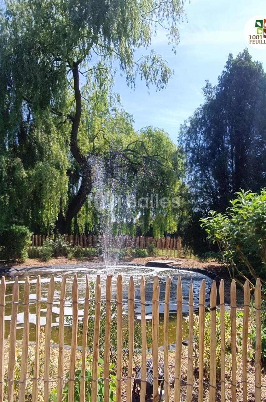 Étang entouré de végétation avec une fontaine centrale, clôturé par une barrière en bois sous un ciel dégagé.