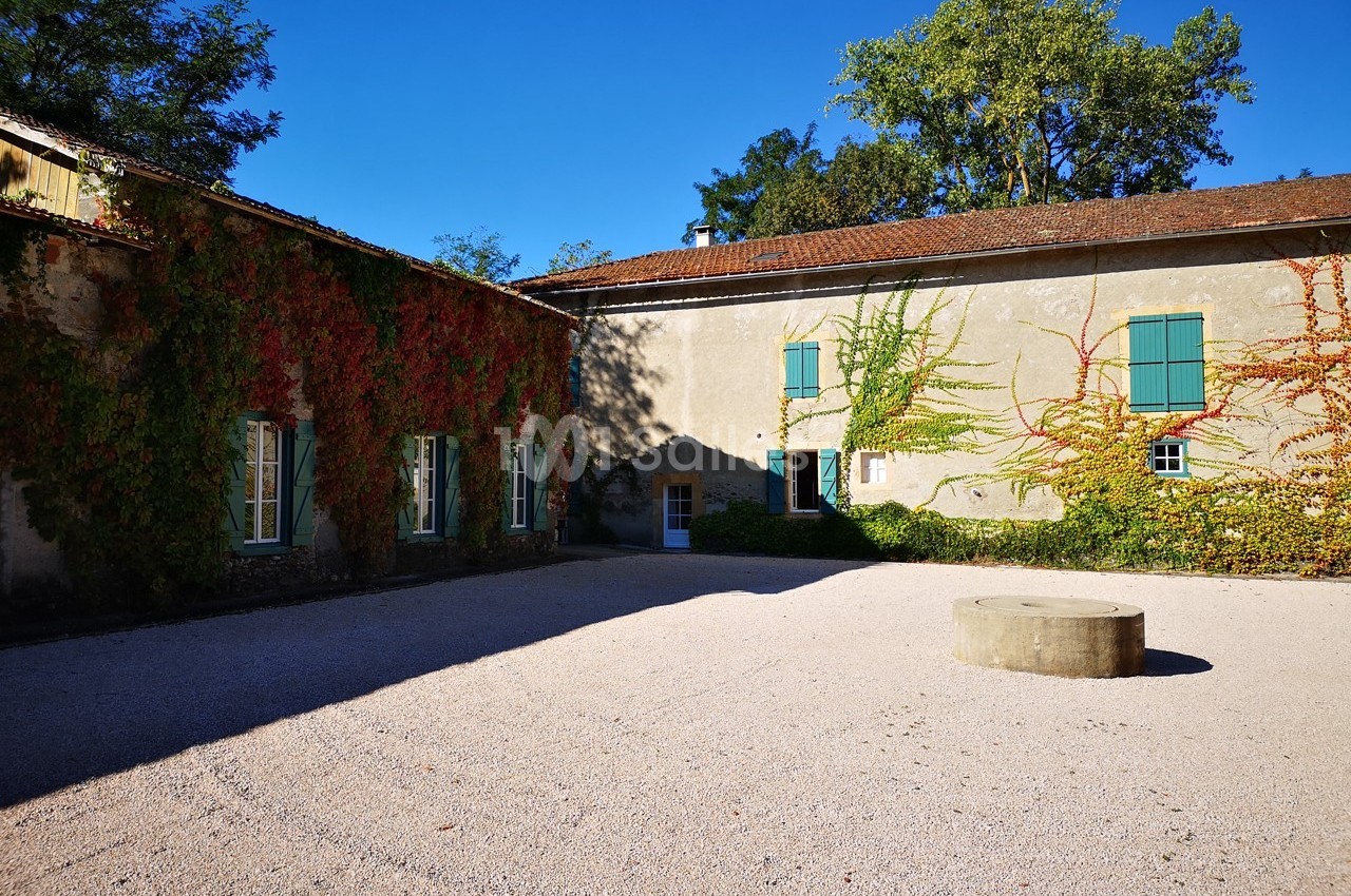 Château de Saint Martory - galerie - photo 3