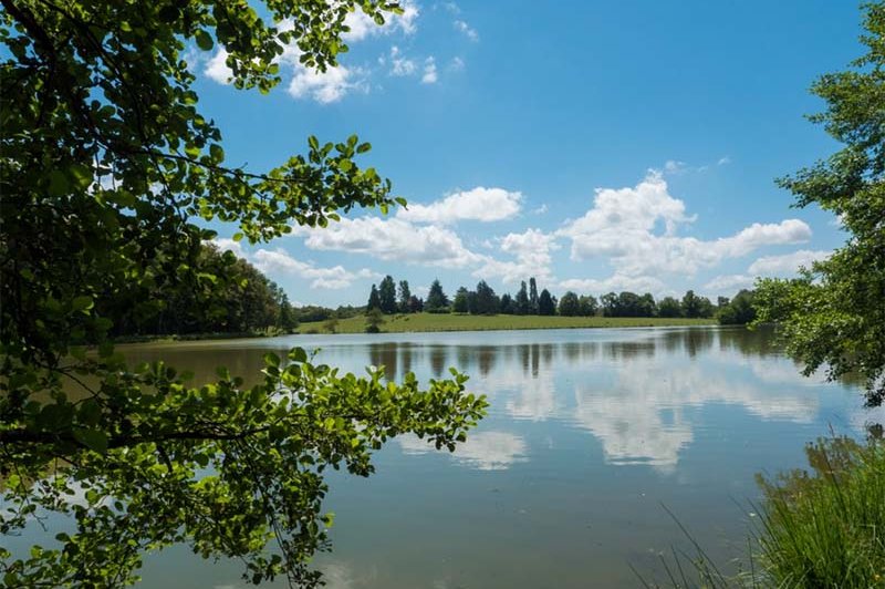 Domaine De L'etang Corcelle - photo 2