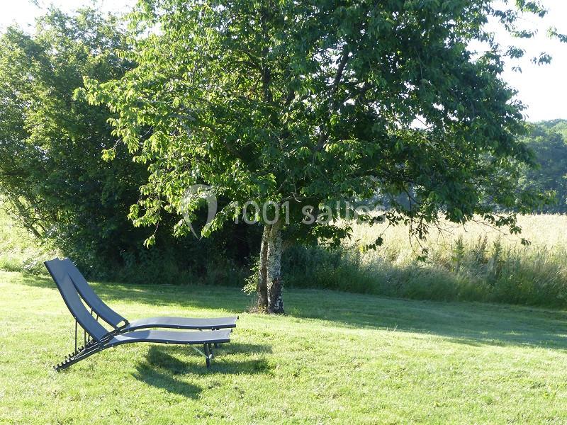 Deux chaises longues noires posées sur une pelouse verte, à l'ombre d'un arbre, avec un champ en arrière-plan.