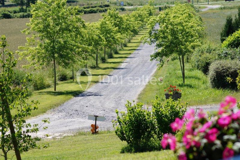 Allée de gravier bordée d'arbres et de verdure, avec des fleurs roses au premier plan.
